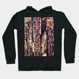 Two Birdhouses in the Autumn Woods Hoodie